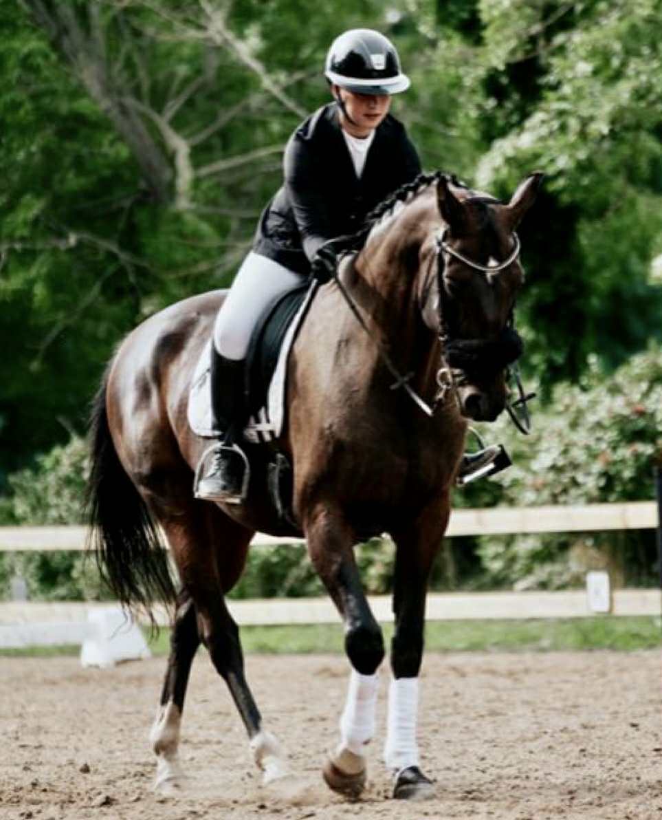A rider on a brown horse.