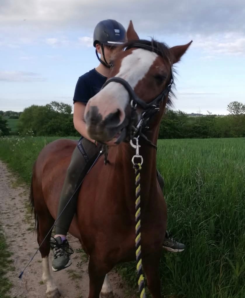 A girl riding a brown and white pony.