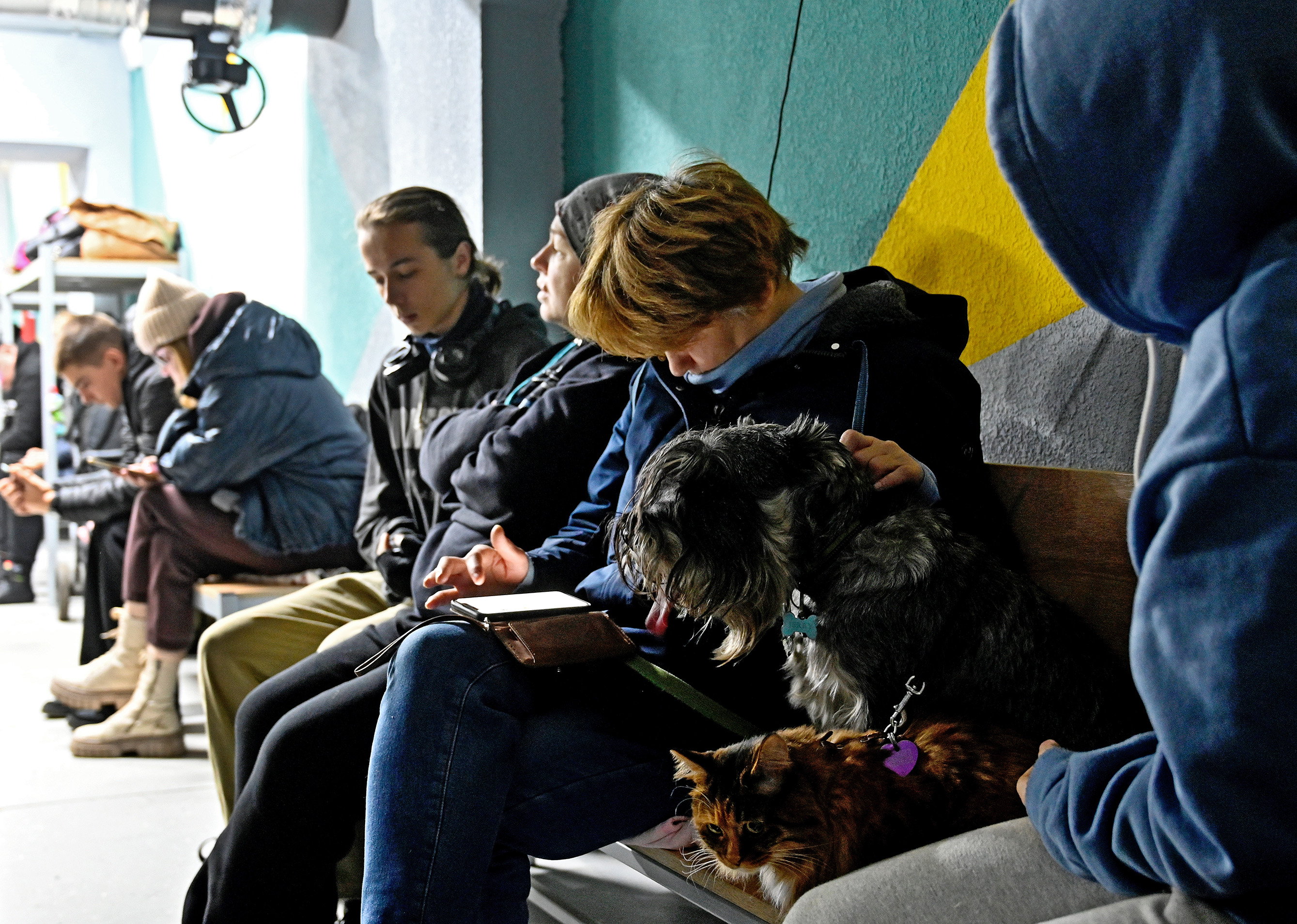 People and their pets sheltering in a bomb shelter during an air raid.