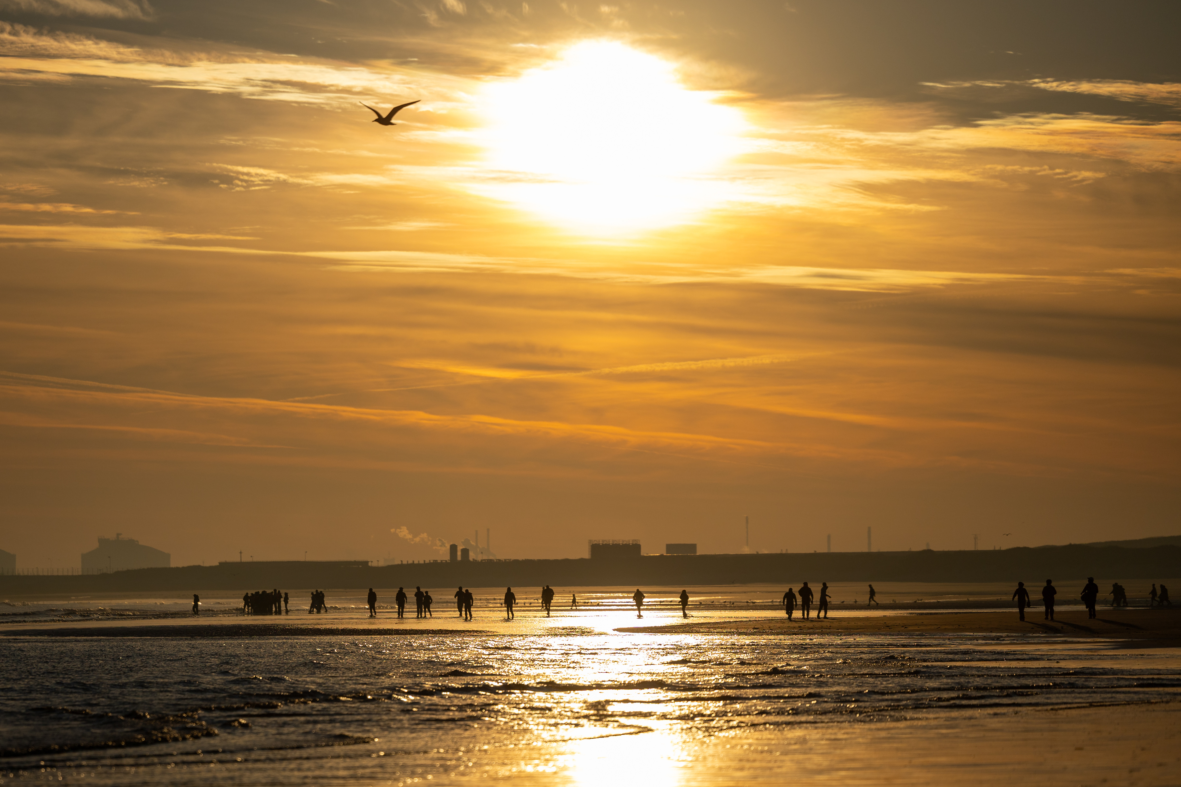 Silhouetted figures on a beach at sunset.