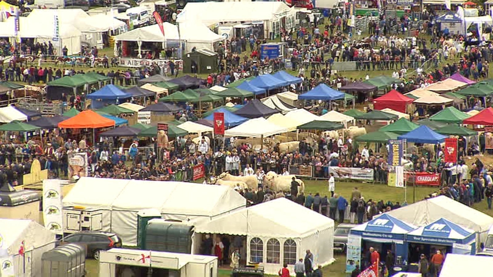 Thousands expected to attend Tullamore Show