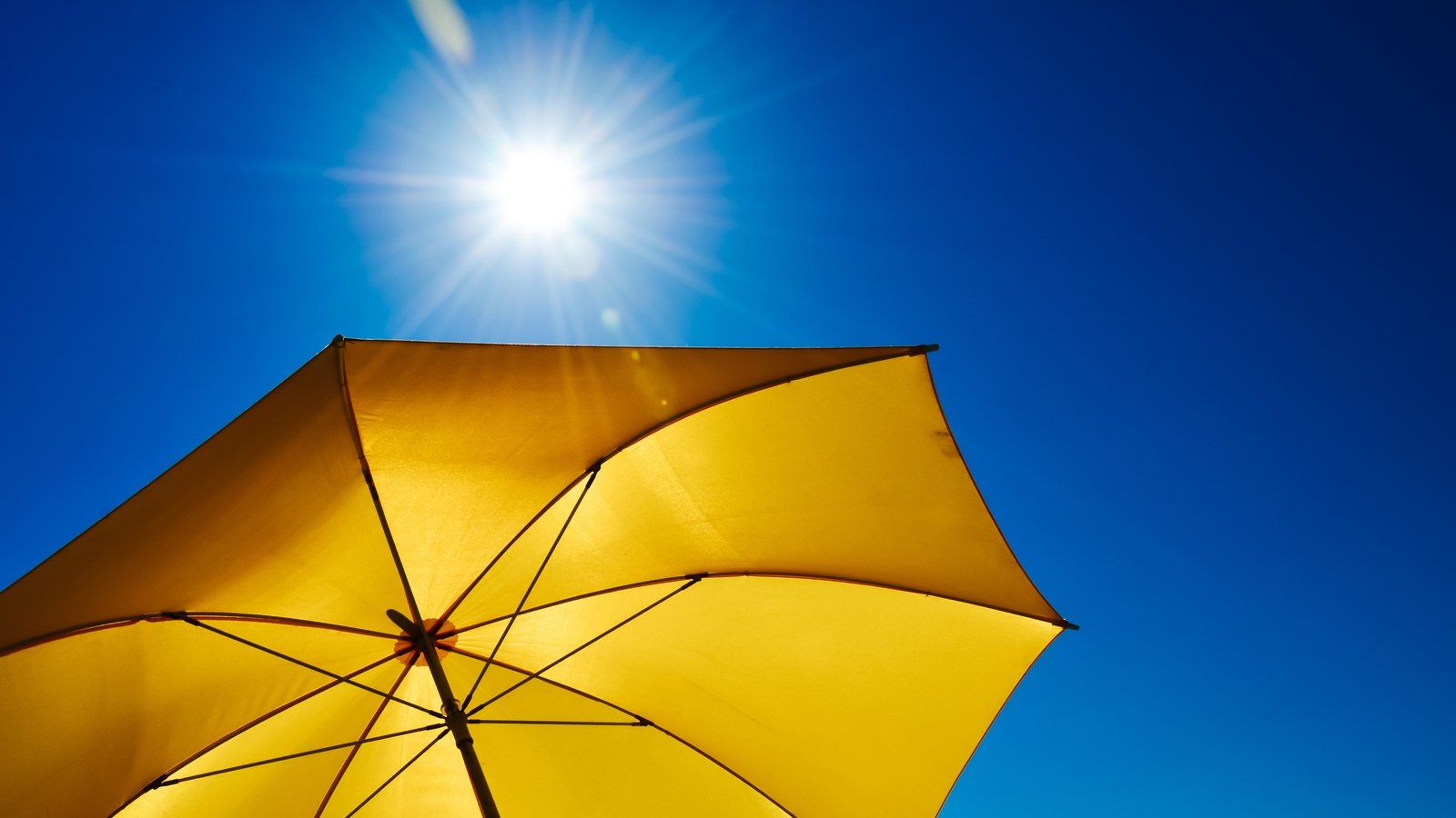 Heatwave conditions possible as temperatures set to rise