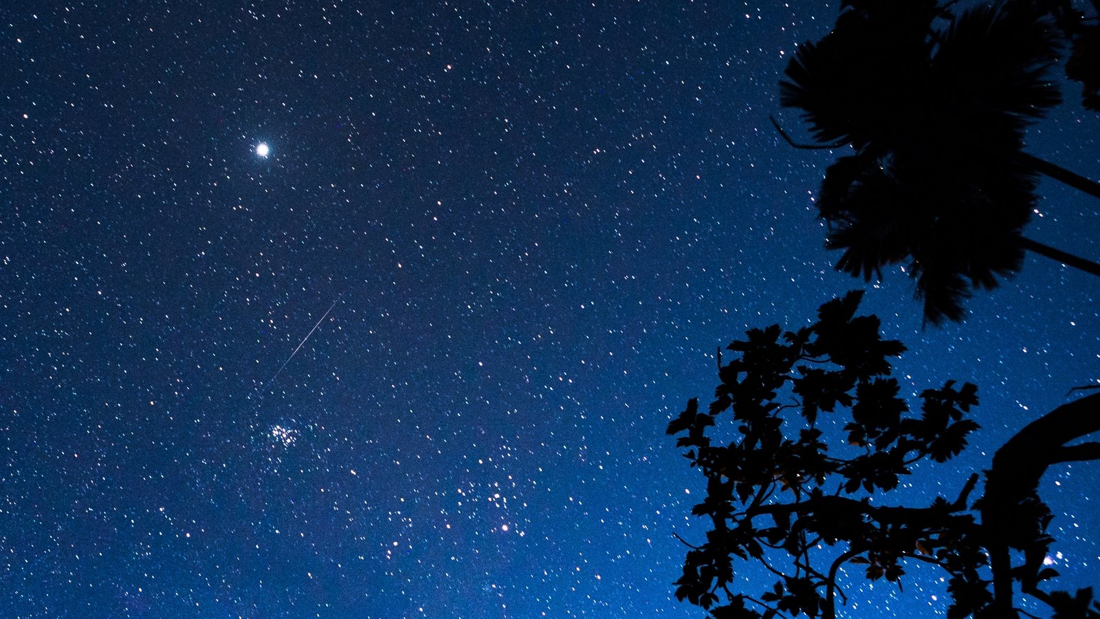 Tonight, tomorrow best times to see Perseid meteor shower