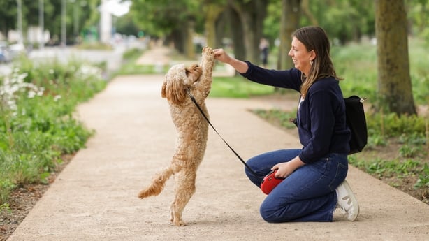 Suzie Barry and her dog Ellie on the reopened Grand Canal towpath