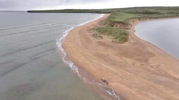 A view of a whale stranded on a beach in Co Mayo