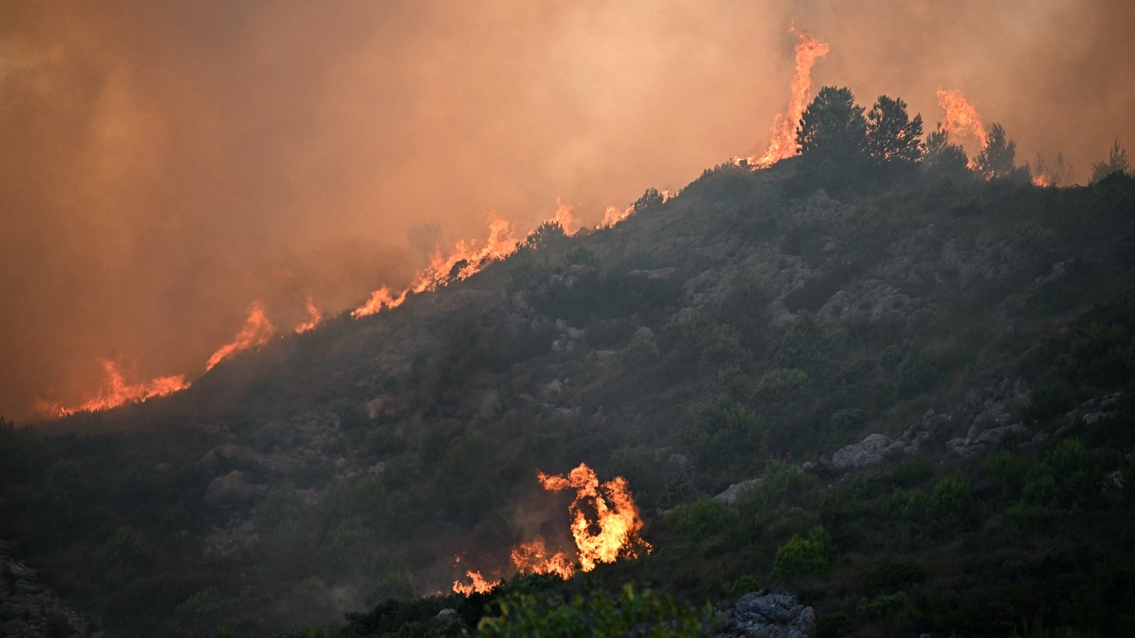 One dead, nine injured in large France wildfire