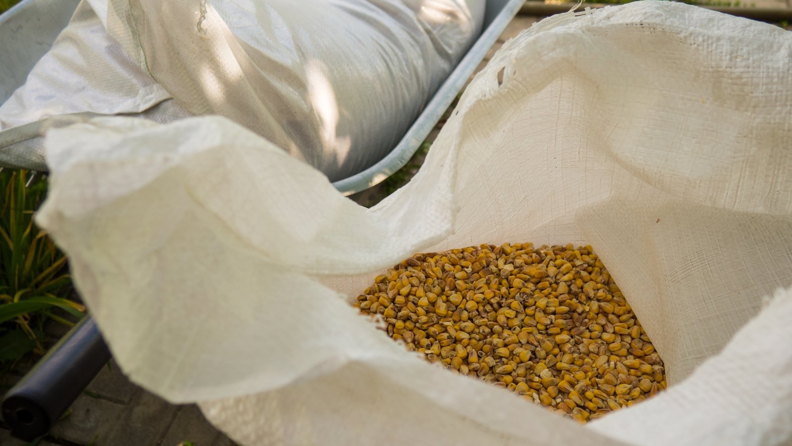 Police dismantle gang smuggling marijuana to Ireland