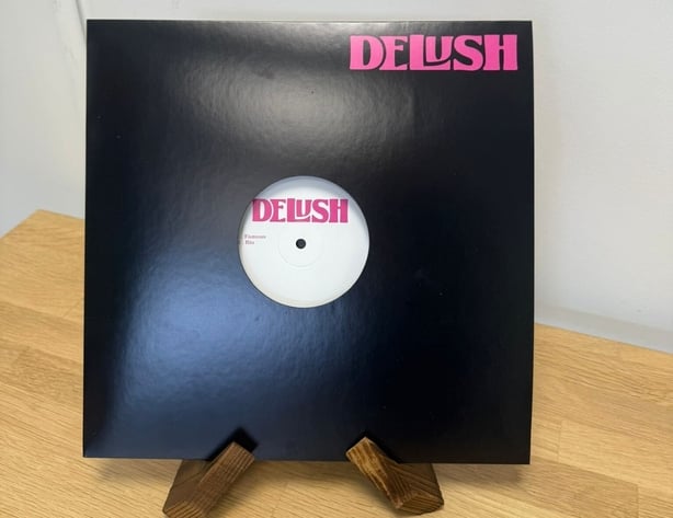 Photo of a vinyl record from the band Delush 