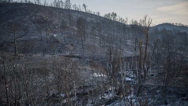 A landscape charred by a wildfire in France