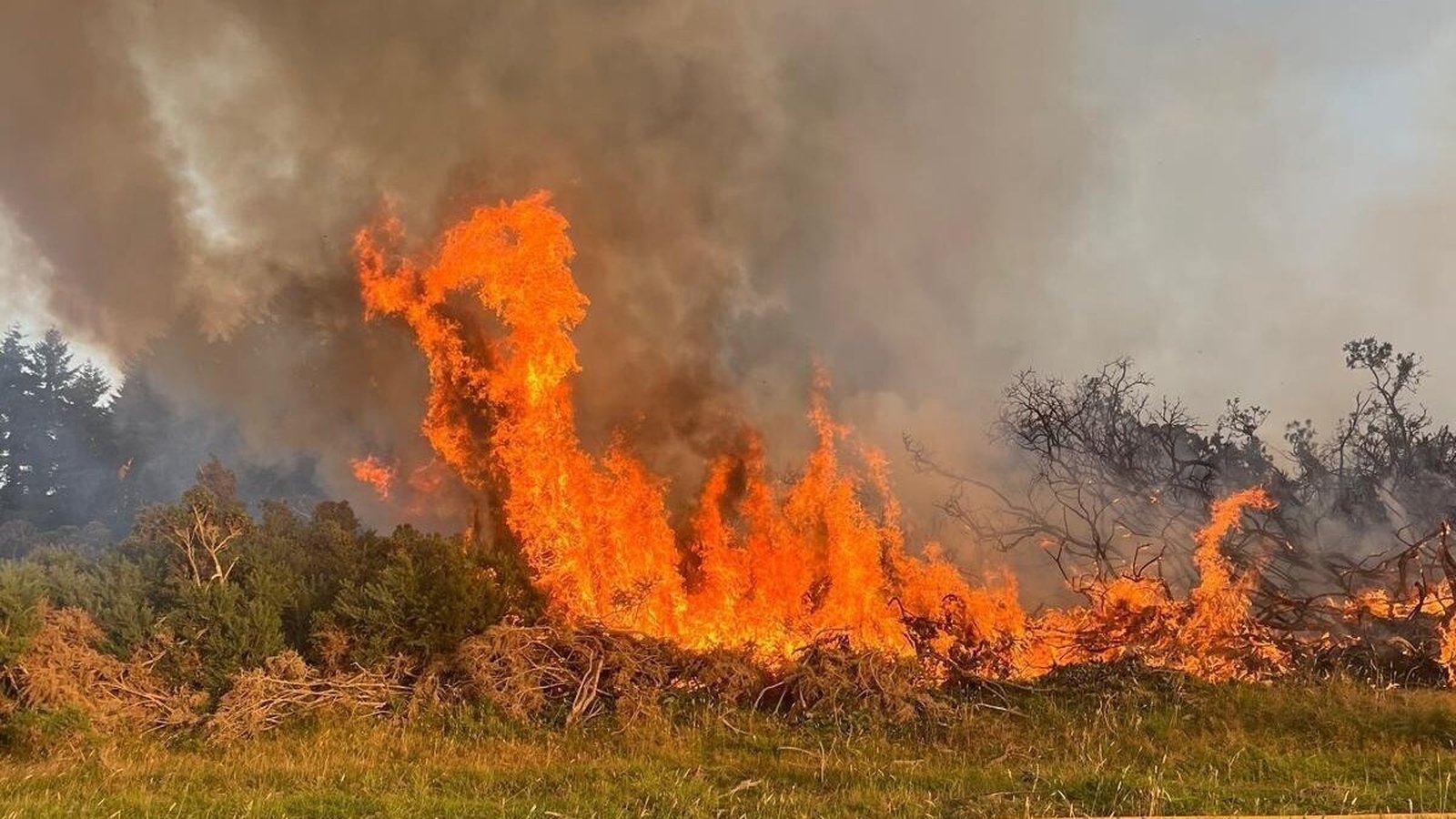 Firefighters continue to tackle gorse wildfire in Dublin