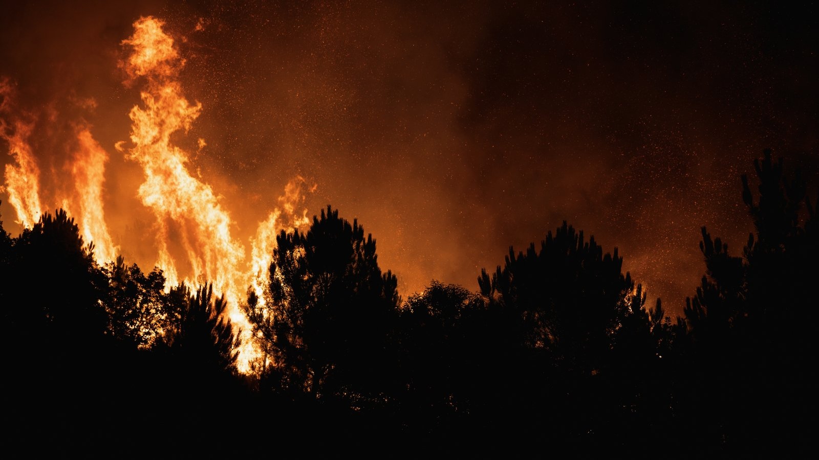 Firefighters killed in Portugal and Spain as blazes rage