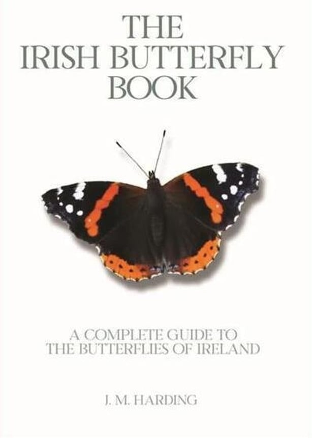The Irish Butterfly Book by Jesmond Harding cover