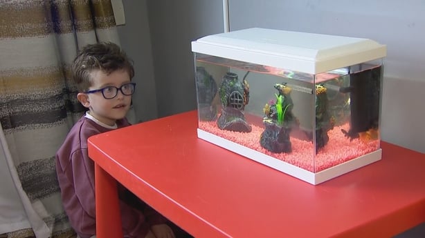 Daniel Colgan sitting on the ground, looking at a fish tank on a table.