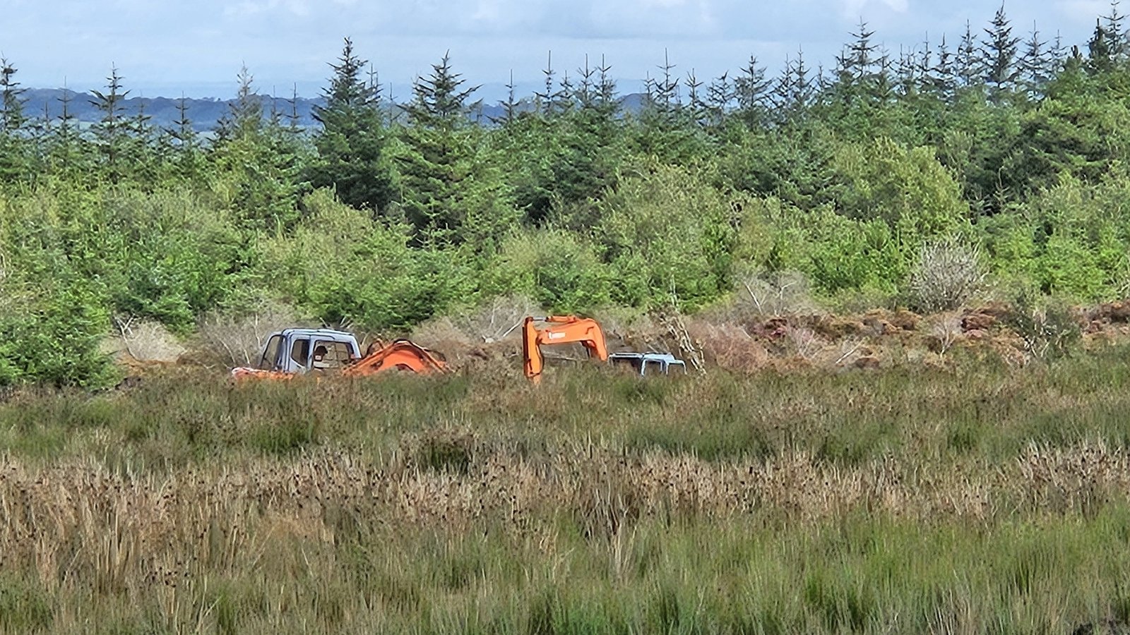 Hope for 'successful outcome' in Columba McVeigh search