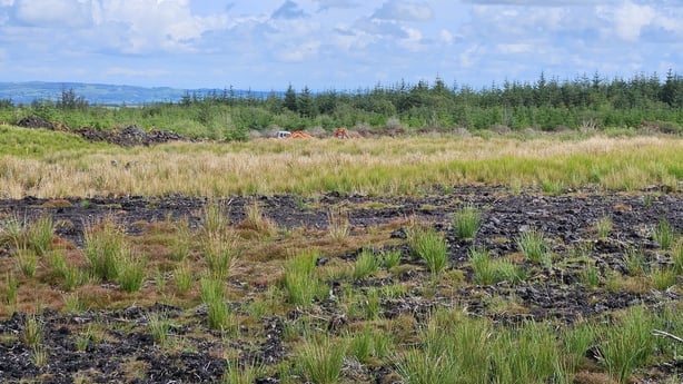 A view of Bragan bog in Co Monaghan
