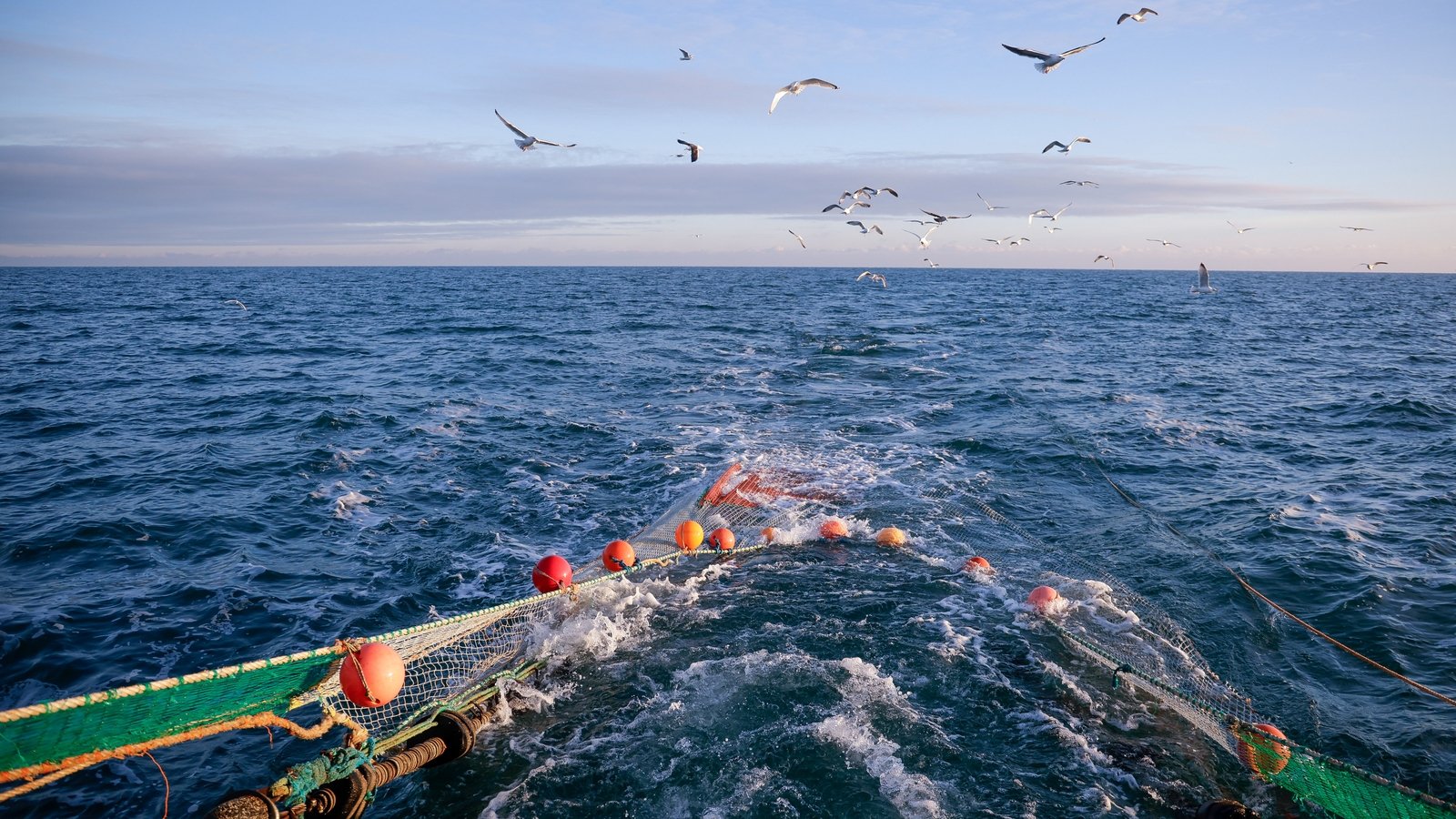 Man's body found by French trawler off Waterford coast