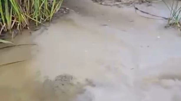 a murky white substance is seen in water