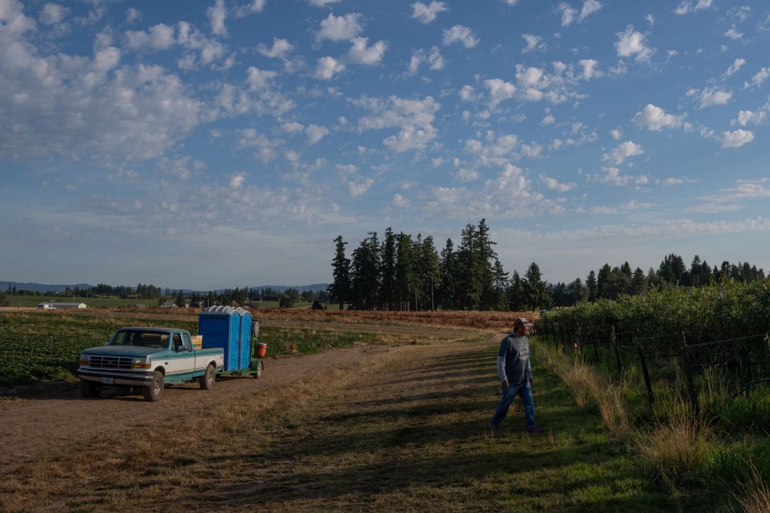 Manuel Nava checks his crew of pickers on a berry farm.