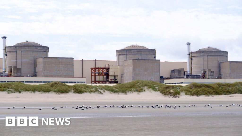 Jellyfish force French nuclear plant to shut down