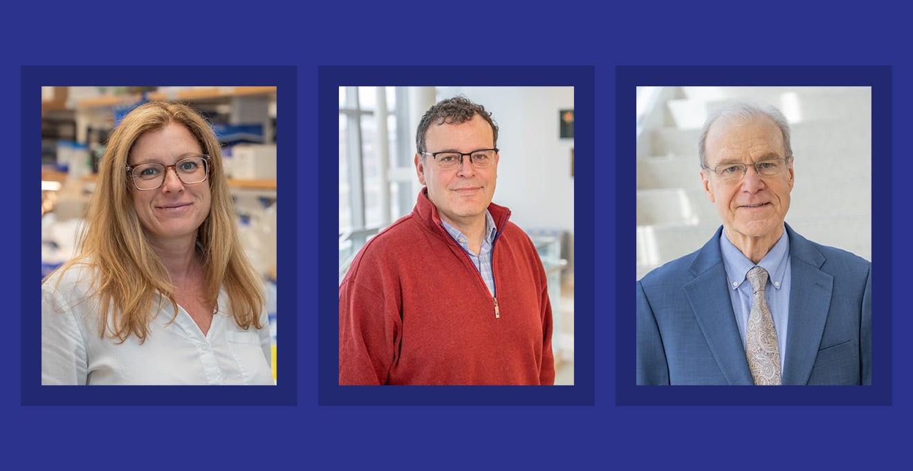 Phase I/II clinical study of gene therapy for GM2 gangliosidosis, including Tay-Sachs and Sandhoff diseases, shows encouraging results