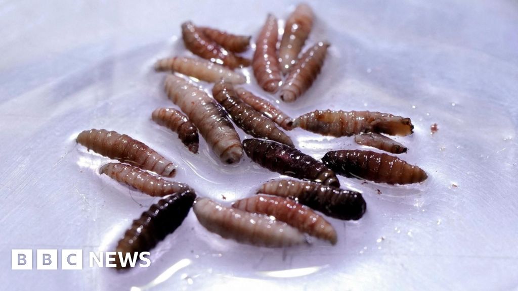 First human case of New World screwworm parasite confirmed in US