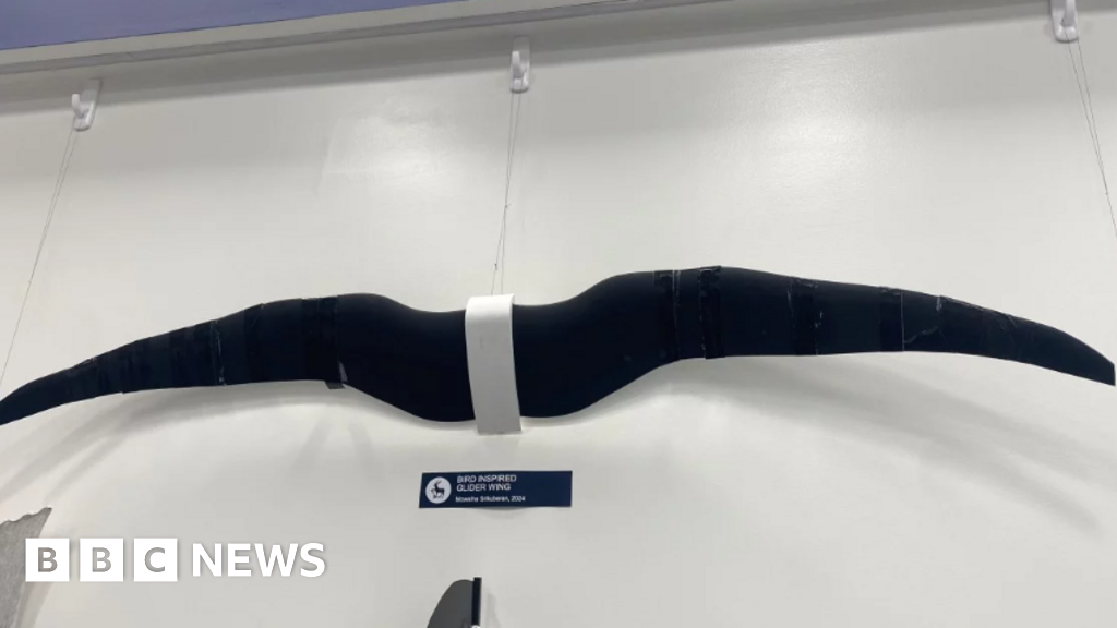 University of Surrey project developing new bird-inspired drone