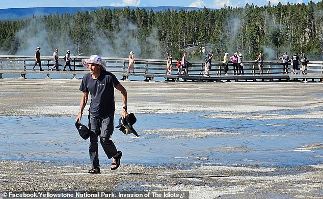 A tourist wearing flip-flops steps onto a fragile bacterial mat at Yellowstone's Grand Prismatic Spring to retrieve hats, sparking outrage among park visitors