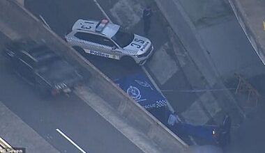 The deaths of a man and woman who fell from the Western Distributor on Saturday are being treated as non-suspicious