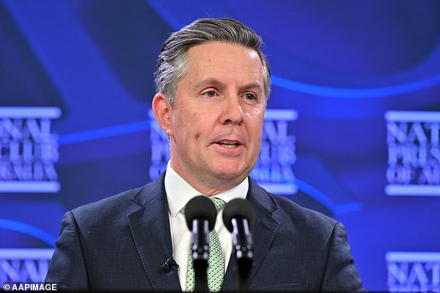 Health Minister Mark Butler told the National Press Club in Canberra on Wednesday the National Disability Insurance Scheme had become too big since it debuted in 2013