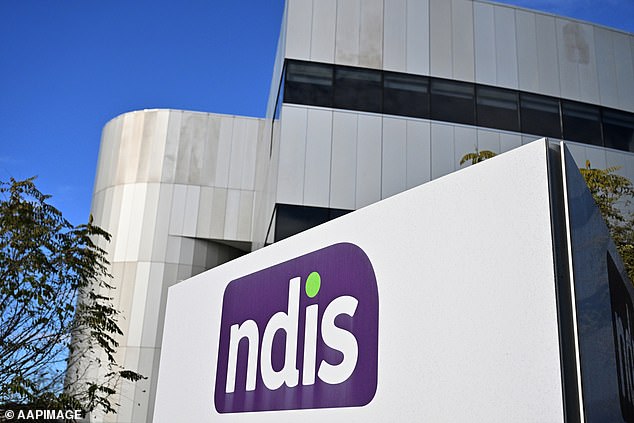 Aussies have unleashed a scathing critique of the country's National Disability Insurance Scheme (NDIS), claiming individuals were abusing the system
