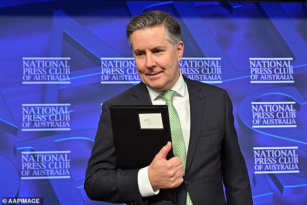 Their comments come after Health and NDIS Minister Mark Butler (pictured at the National Pres Club in Canberra) announced the government's plan to scale back NDIS funding