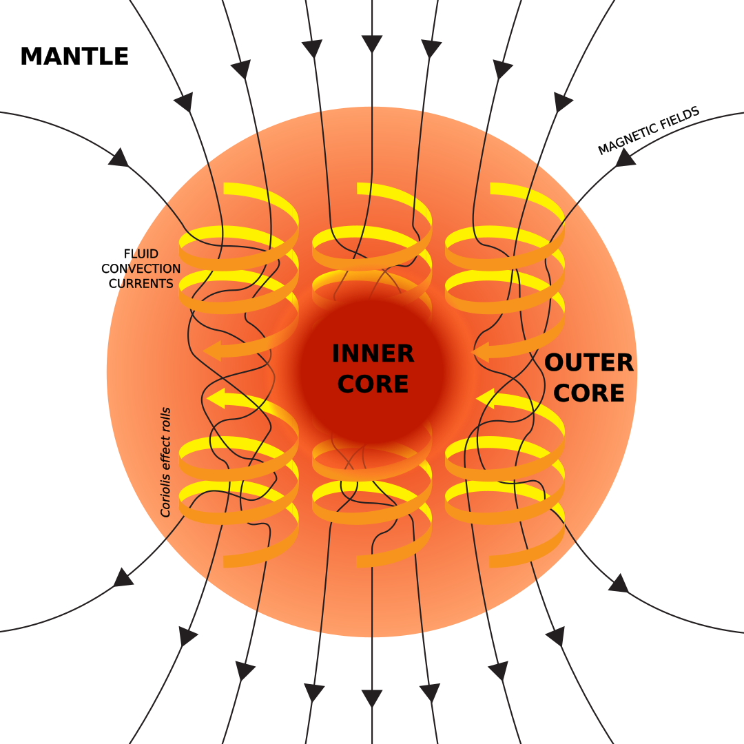 Illustration of the dynamo mechanism that generates the Earth's magnetic field: convection currents of fluid metal in the Earth's outer core, driven by heat flow from the inner core, organised into rolls by the Coriolis force, generate circulating electric currents, which supports the magnetic field (Credit : Andrew Z Colvin)