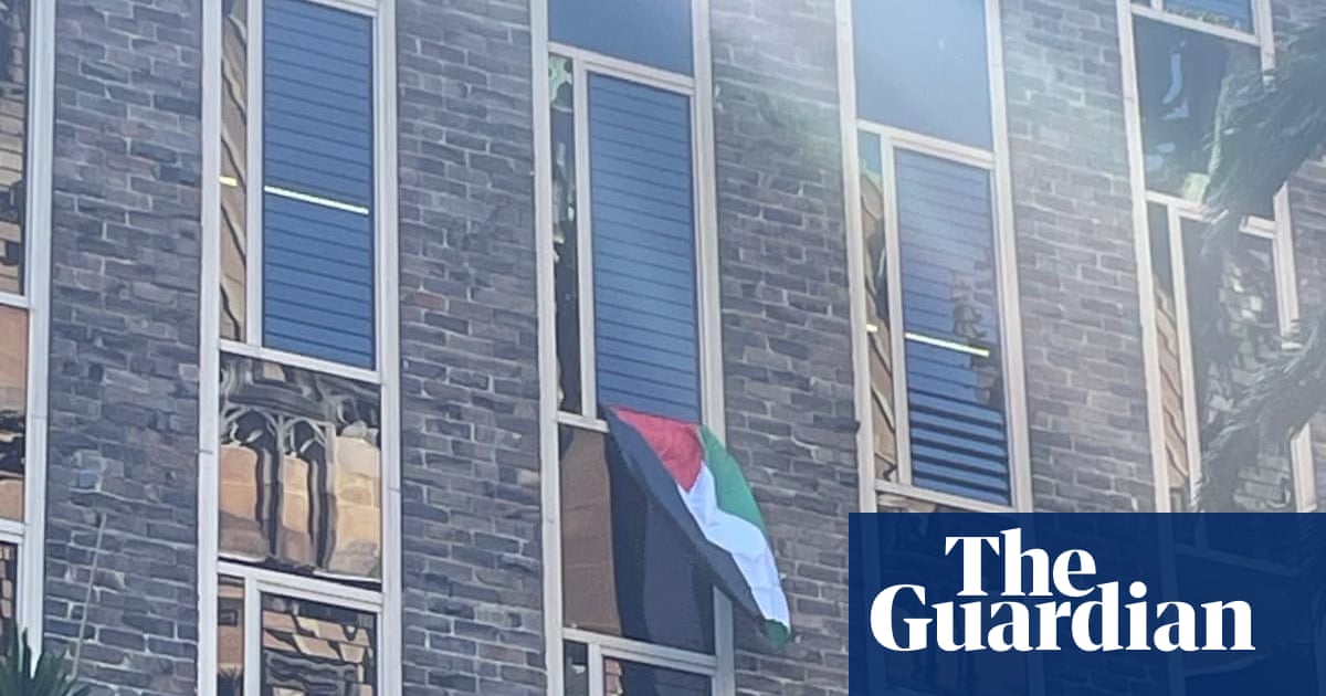 University of Sydney removes Palestinian flag from academic’s window after accusing him of breaching policy | Sydney