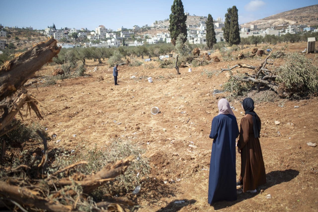 Palestinian residents of al-Mughayyer inspect damage caused by the three-day Israeli siege on the village, August 25, 2025. (Photo: Anne Paq/Activestills)