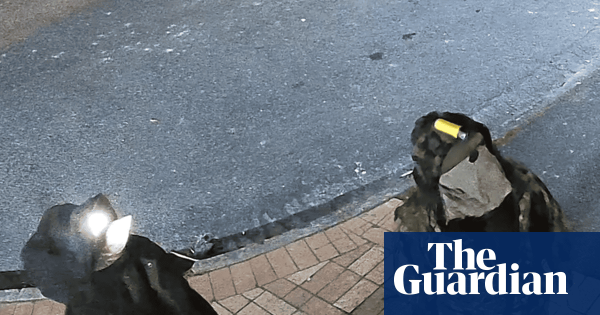 New Zealand fugitive and one of his children spotted on CCTV after four years on the run, police believe | New Zealand