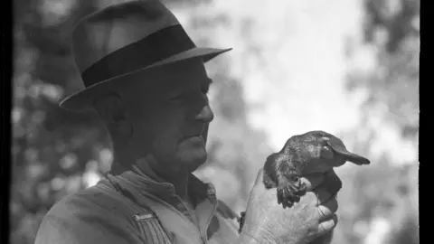 Australian Museum David Fleay holding a platypus