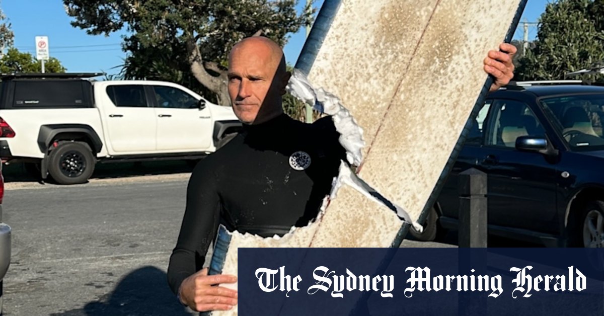 Cabarita Beach closed after surfer's board bitten