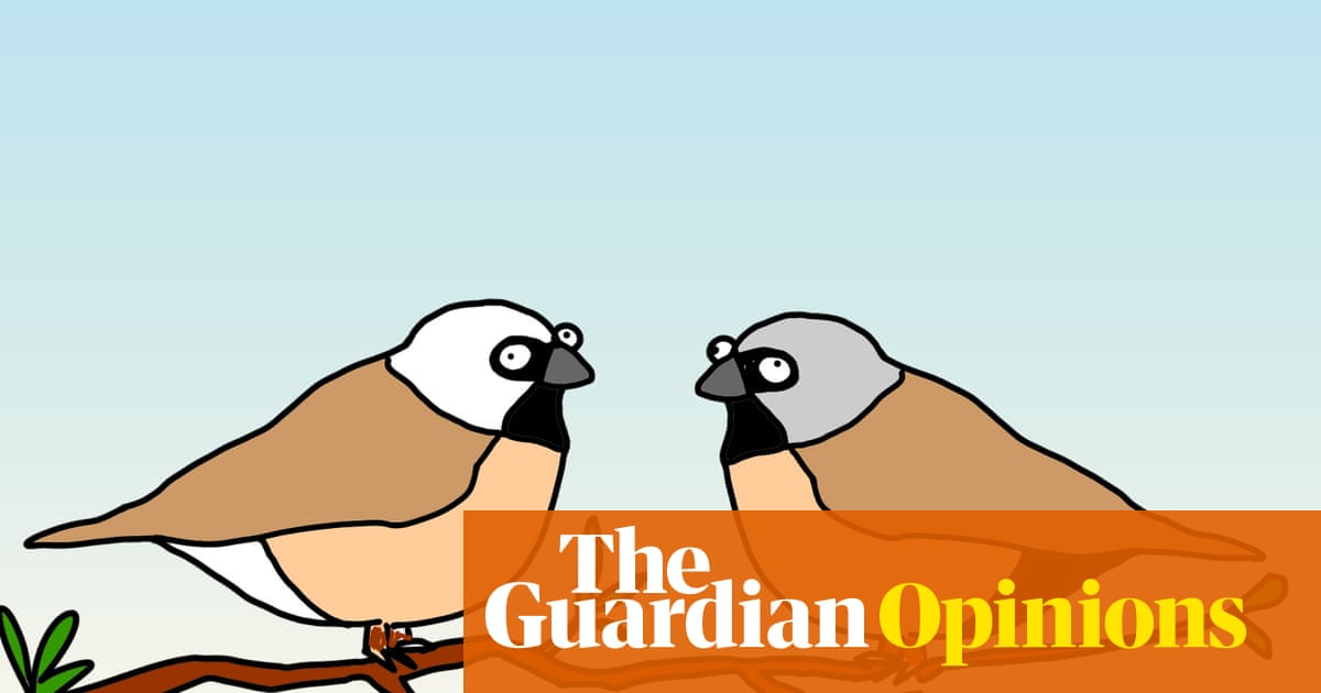 Adani! I don’t want to say I told you so but … Actually yes I do. I told you so! | First Dog on the Moon - The Guardian
