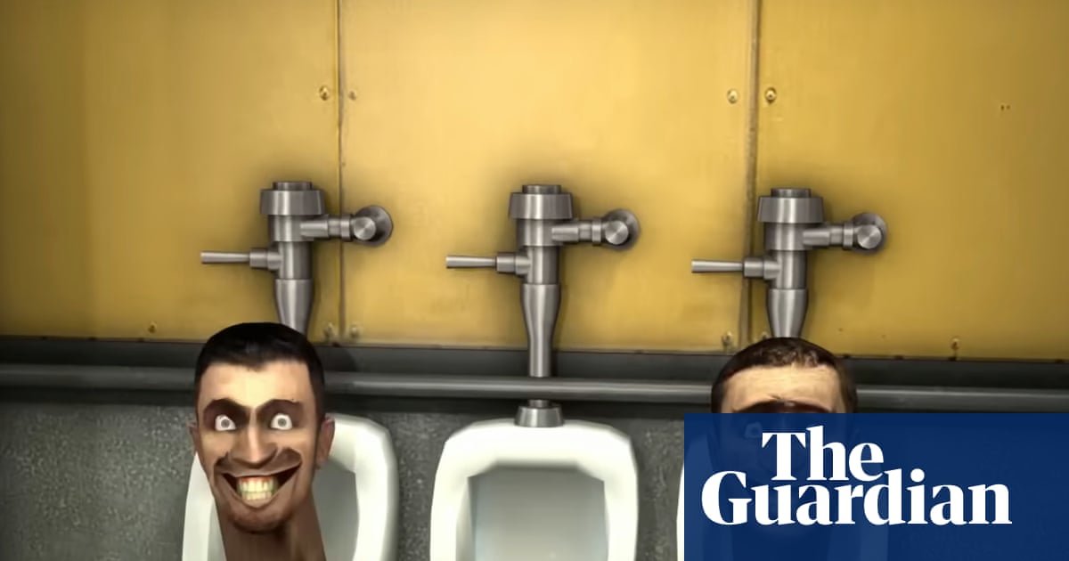 ‘Skibidi’, ‘delulu’ and ‘tradwife’ among words added to Cambridge Dictionary | Books