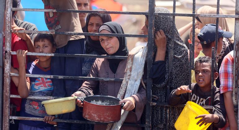 Nearly 1,400 Palestinians killed while seeking food, as UN warns airdrops are no solution