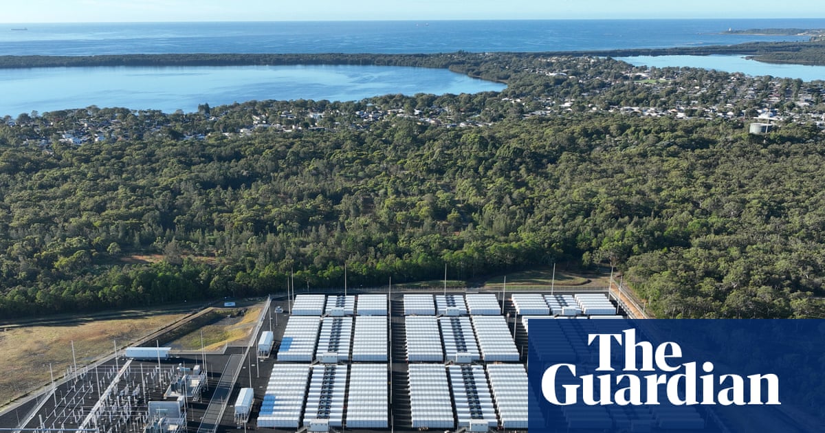 Australia’s biggest battery now on standby to prevent NSW power blackouts | Australia news