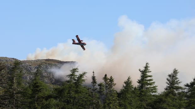 Raging wildfires force several Avalon communities to evacuate, others on alert