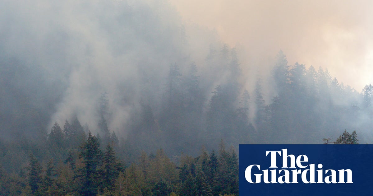 Canada wildfires: 81 million Americans under air quality alerts as blazes rage | Canada wildfires