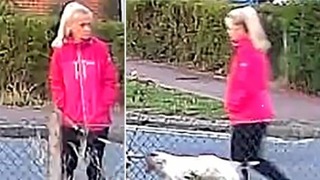 CCTV footage shows dog walker and murderer in same area before attack – video