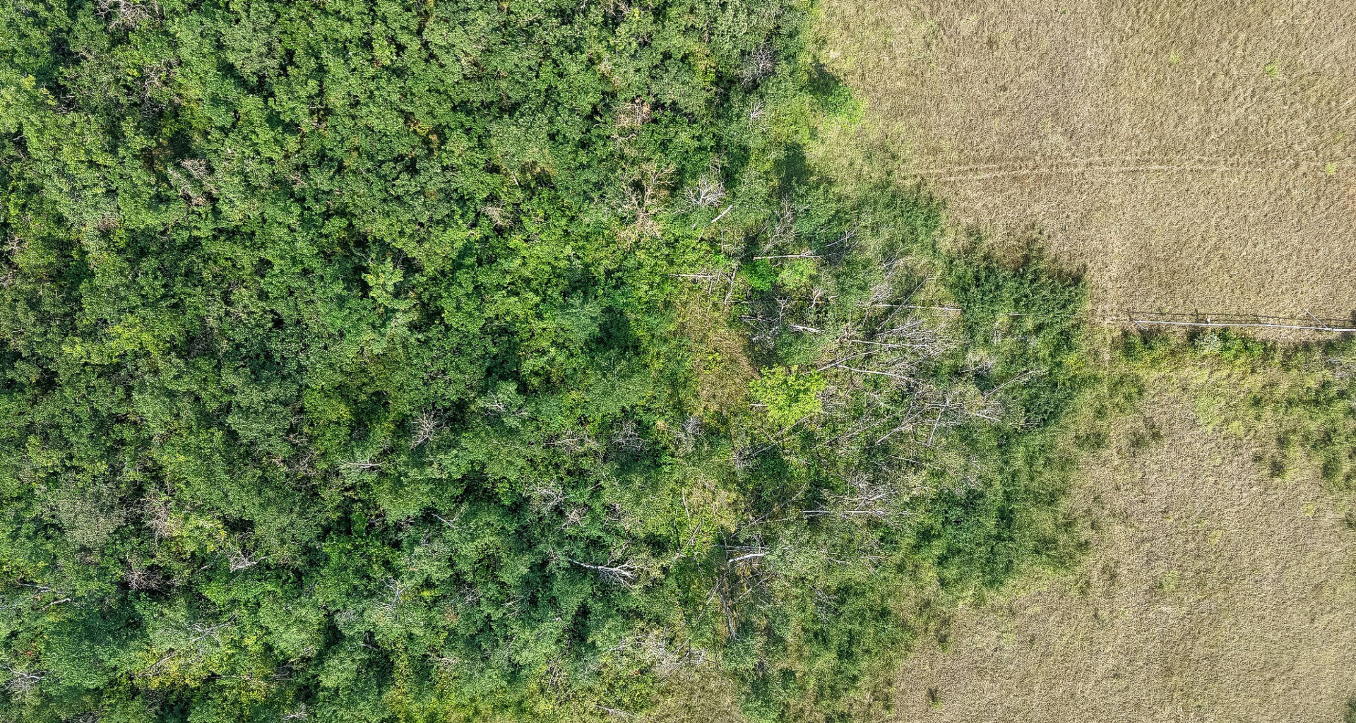 Three tornadoes confirmed in Manitoba, two near Winnipeg – Winnipeg Free Press