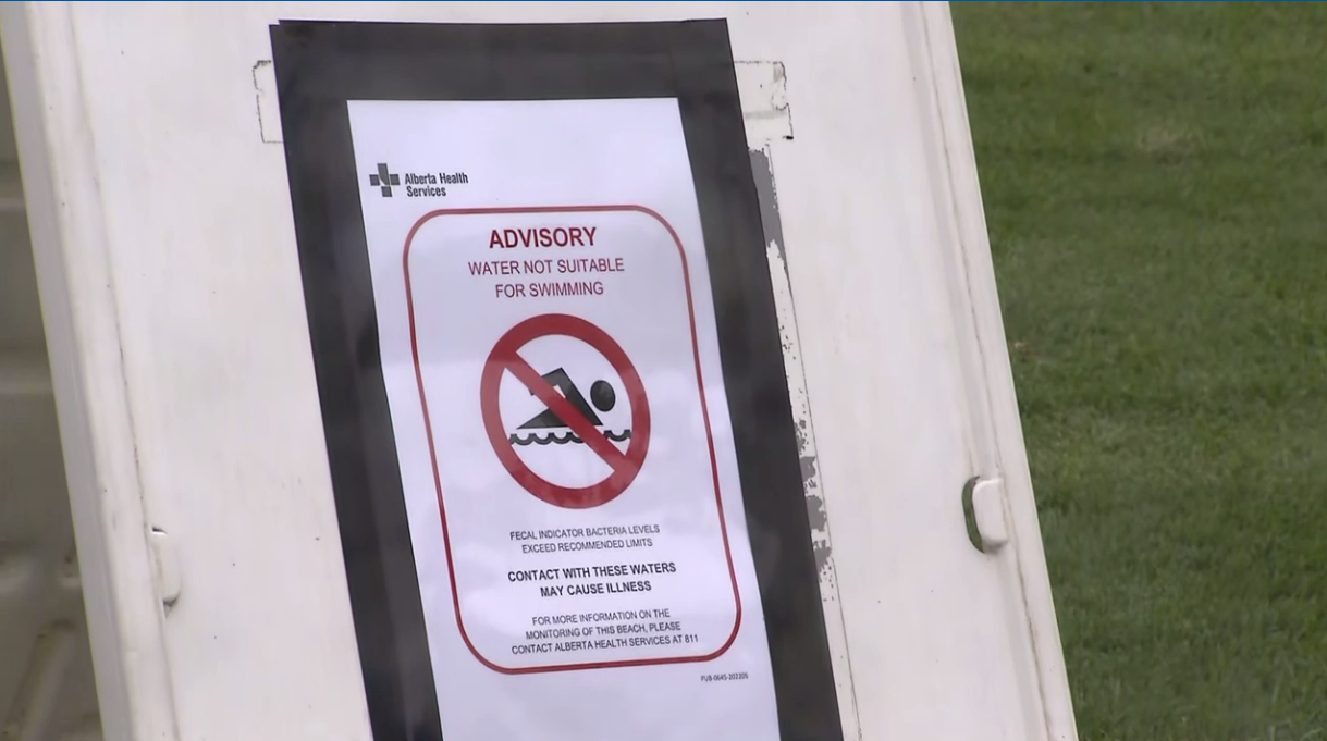 Elevated fecal bacteria in area of Chestermere Lake, AHS