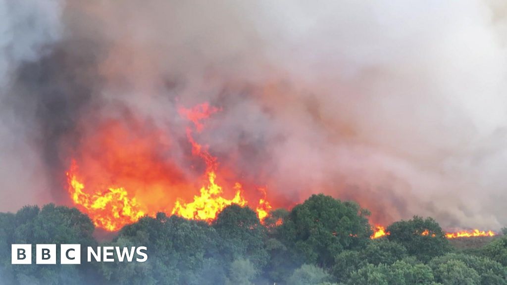Major incident declared as crews tackle two blazes in Dorset