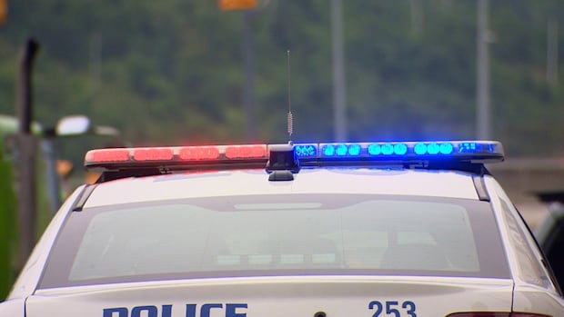 RNC investigating after human remains found near trail in St. John's