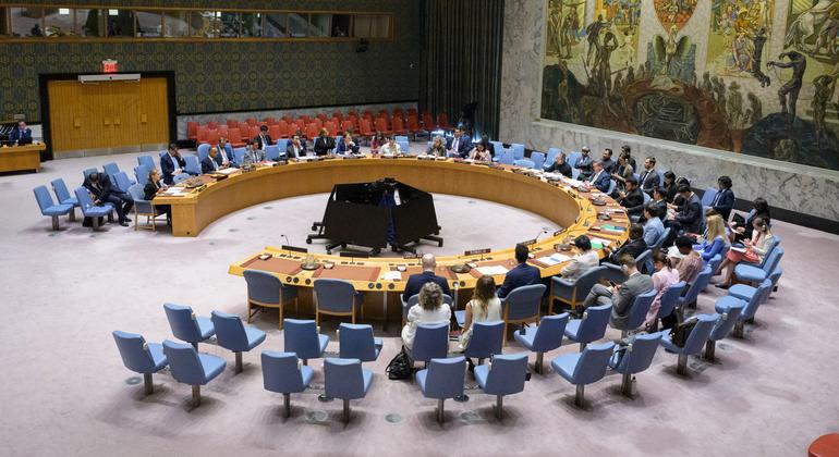 SECURITY COUNCIL LIVE: Ambassadors to meet in emergency session on Gaza