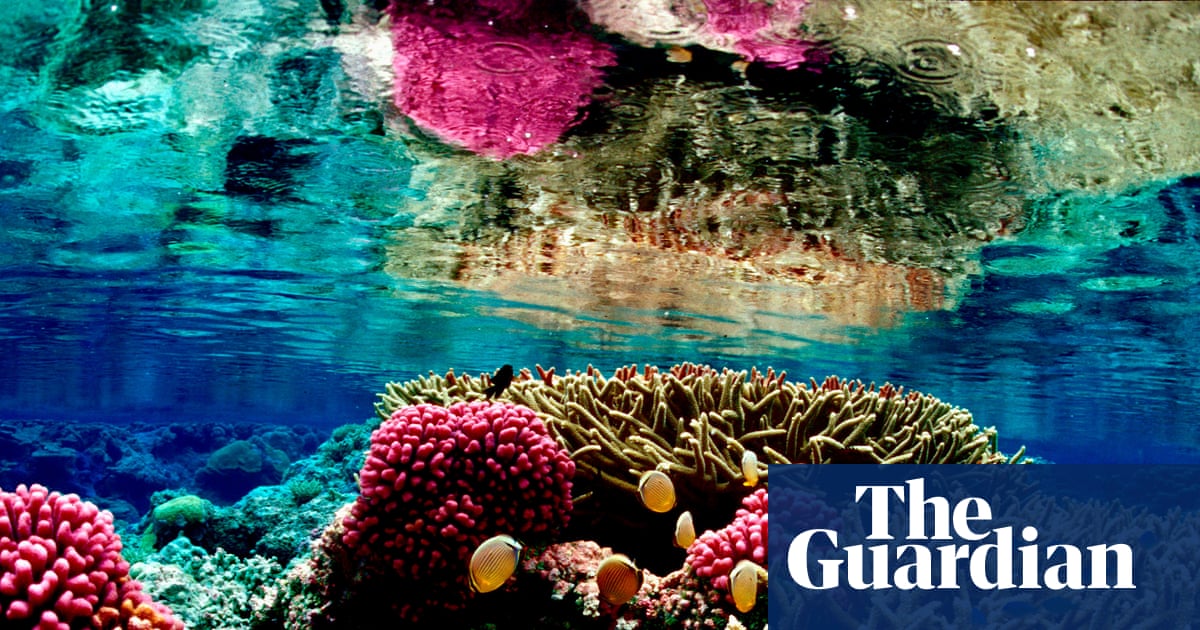 Court overrides Trump officials’ rollback and blocks fishing in Pacific Islands monument | Trump administration